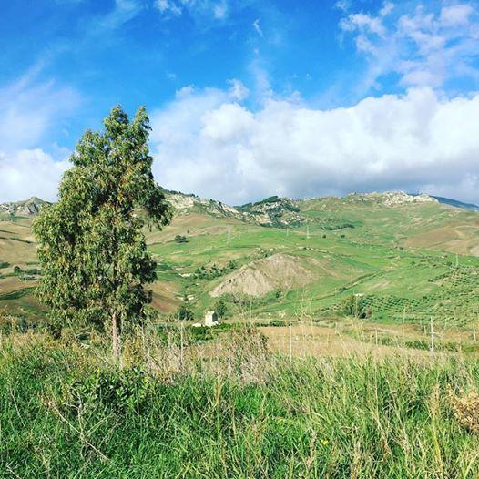 Tenuta Lanza Il Mulino Acquaviva Platani Zewnętrze zdjęcie